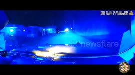 K9, Helicopter Lead Deputies to Stolen Vehicle Arrest