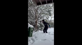 Toronto man creates “snow explosion” after kicking tree in viral 13k‑view clip