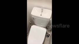 Japan: Toilet with built-in faucet offers convenience but creates cleanup hassle