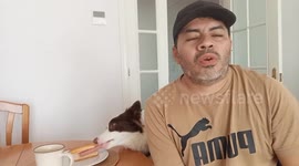 Dog sneaks away with breakfast while owner is distracted in Mascarat, Altea, Spain