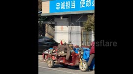 China: Chinese dog bundled in warm coat and hat for cold weather outing