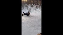 French Bulldog's Hilarious Snowy Slide Steals the Show!
