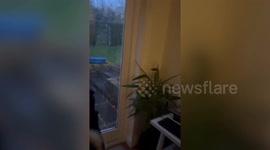 Puppy greets 'dad' after month abroad