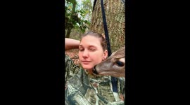 Deer in the Woods Being Friendly to Hunter