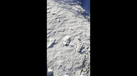 Someone Fell Over In The Snow