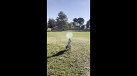 Nina Ball Bopping Boxer