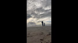 Funny Bird Takes Over Family's Video