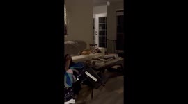 Installed a Doggie Door, Gained an Extra Dog