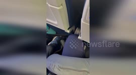 US: WestJet Passenger Highlights Brutal Economy-Class Legroom On Flight