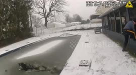 US: Dog Rescued From Frozen Pool After Dramatic Police Response