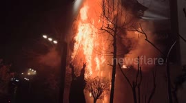 Iran: Protests in Iran Tehran January 8 4