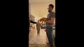 Laser Kitty Tooth Pull