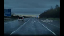 Ireland: Tesla Avoids Crash as Cow Leaps Into M6 Motorway Near Rochfortbridge