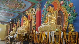 India: Inauguration & Prayers: Nyingma Monlam Chenmo Begins in Bodh Gaya