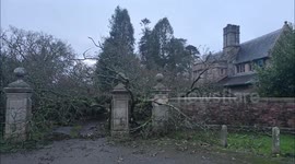Fleet house at hollowcombe Cross devon uk .  The gate house nearly destroyed by fallen tree  the owner was there
