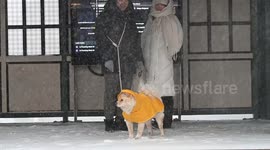 NY: Heavy Winter Snow Storm Impacts New York City