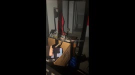 Dog watches amusing key retrieval attempt through window in Zhejiang, China