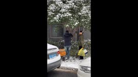 Child startled by falling snow during playful tree shake in Anhui, China