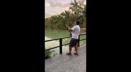 Tourist reels in large catfish from pond in Thailand
