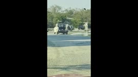 Children sit on family's car roof in safari park where lions ate keeper