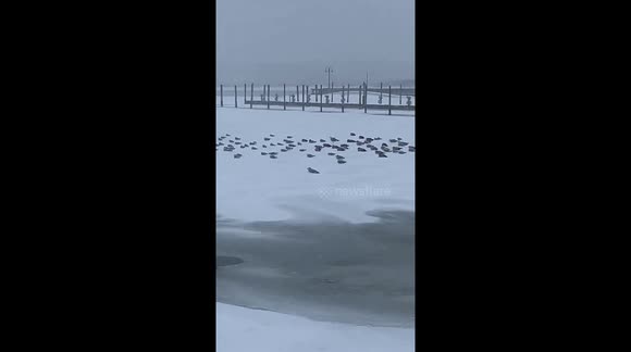 US: Deadly Winter Storm Brings Snow, Ice and Power Outages - Buy, Sell ...
