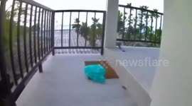 Four Israeli tourists arrested 'with cocaine, MDMA and ‘Labubu’ pills on Thai Full Moon Party island'