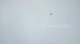 Ukrainian soldiers conduct drone surveillance operations in Donetsk Oblast