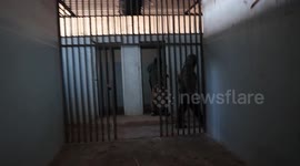 ISIS terrorist detainees say they were freed from prison by SDF/YPG forces