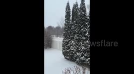 US Winter Storm: Heavy Snow In Long Island, NY