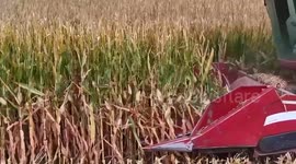 China: China pledges to strengthen long-term poverty support, advance agricultural modernization