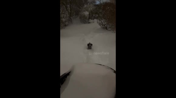 Canada: Record-Breaking Winter Storm Paralyses Southern Ontario with ...