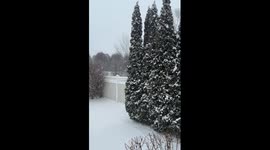 Heavy snowfall blankets Long Island during Winter Storm Fern, USA