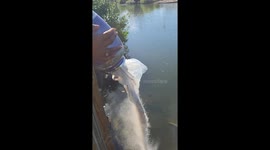 Returning Aunt Janet To The Water