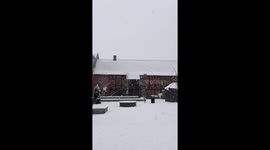 Snowfall hits Denmark in the end of January