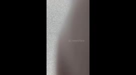 I Bring You Gift, His Name is Jeff