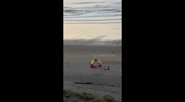 Dog's Sunset Birthday Celebration At Cannon Beach