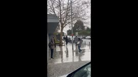 Three horses run through rainy streets in Vila Nova de Gaia, Portugal