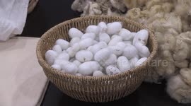 Turkish artisan awarded for preserving silkworm breeding, silk weaving tradition