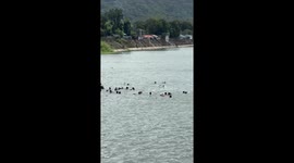Boat sinks during festival flotilla in the Philippines