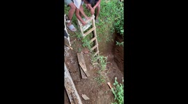 Stray dog leads family to pit where pooch is trapped at the bottom