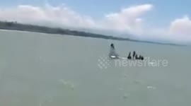 Plane makes emergency landing in sea while carrying 13 passengers