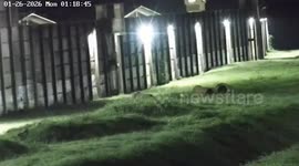 Prisoner's jail break foiled by guard waiting on the other side