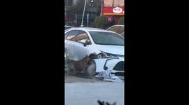 Stray dogs seen destroying parked car by chewing tyre and fender