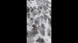 Kind pedestrian helps wheelchair user stuck in snow in Japan