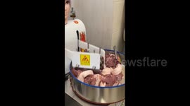China: Commercial meat chopping machine in China boosts large scale food production