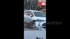 China: Two Chinese dogs destroy car by chewing tire and lifting hood