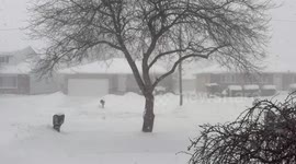 US: Snow Squall Warnings Issued Across Ohio, Triggering Dangerous Travel Conditions