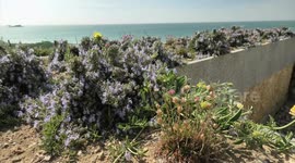 The price of five pints of beer, rate relief to help pubs. Cornwall, UK