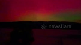 6806静音+裁剪+高清original footage.mp4