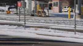 MINNEAPOLIS PROTEST KEPT ICE FROM GOING TO WORK: ARRESTS MADE 4